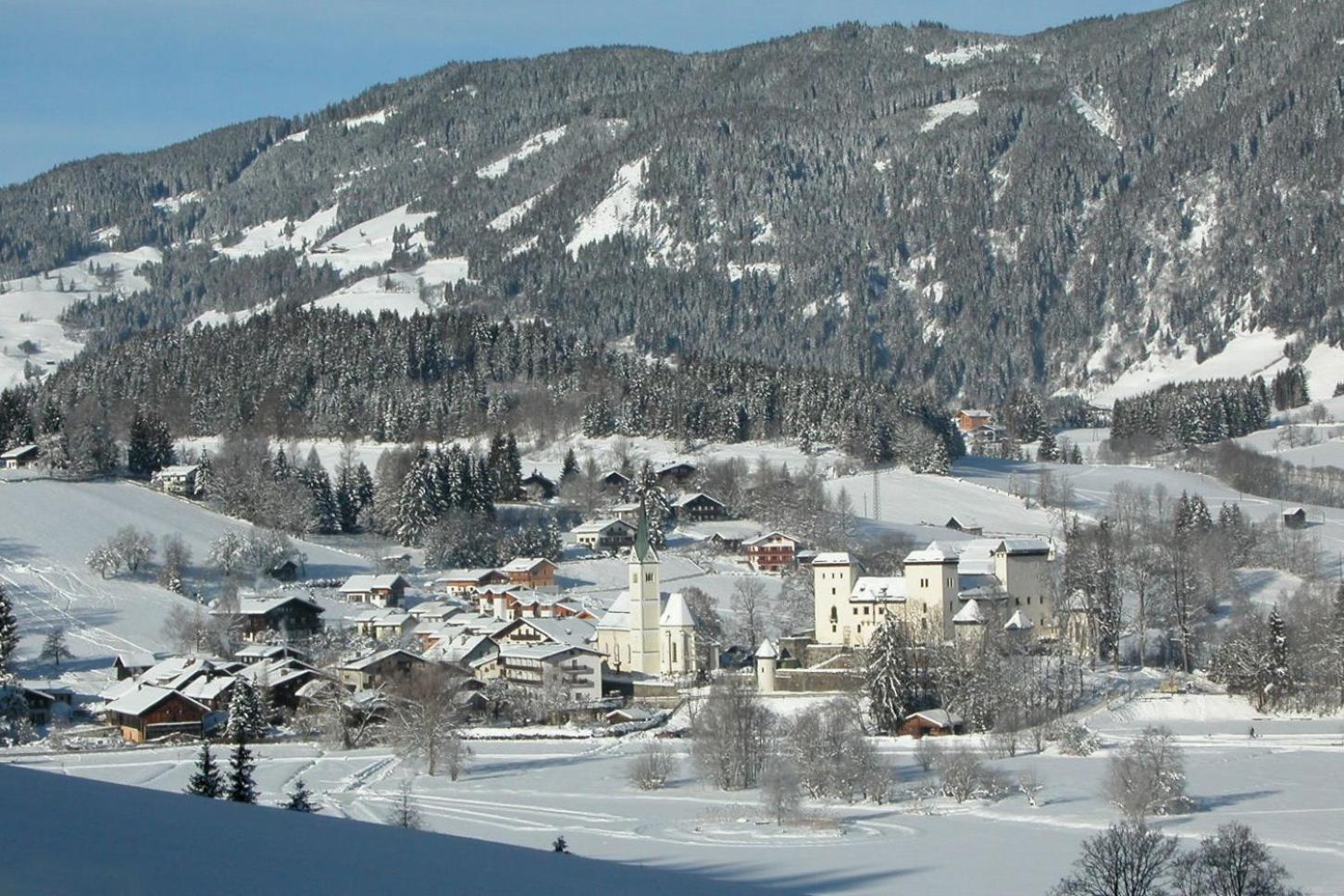 Bio-Bauernhof Reitmayrgut Goldegg Luaran gambar